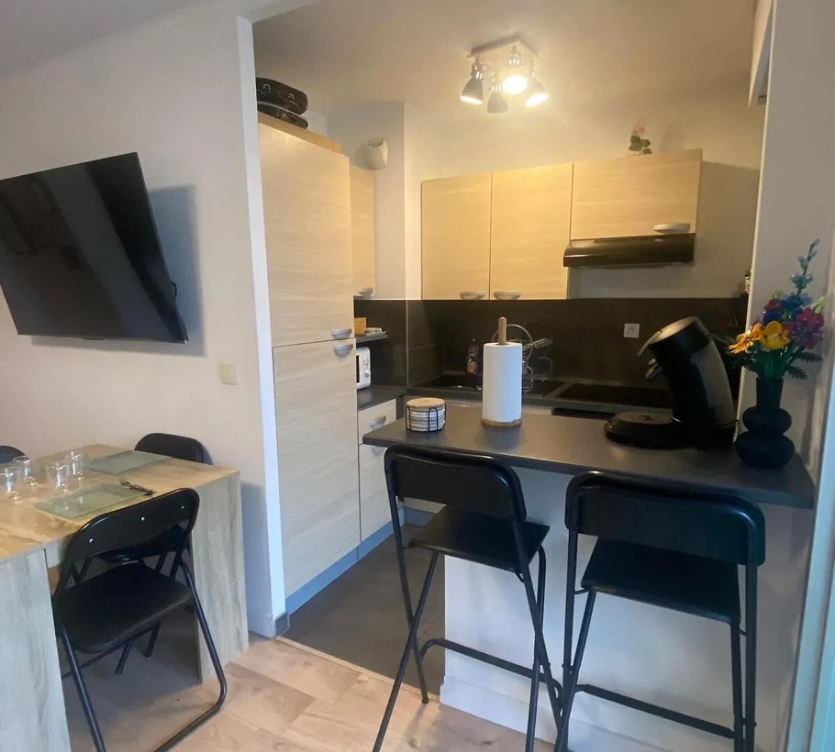 Apartment Studio Cabine Cannes 2